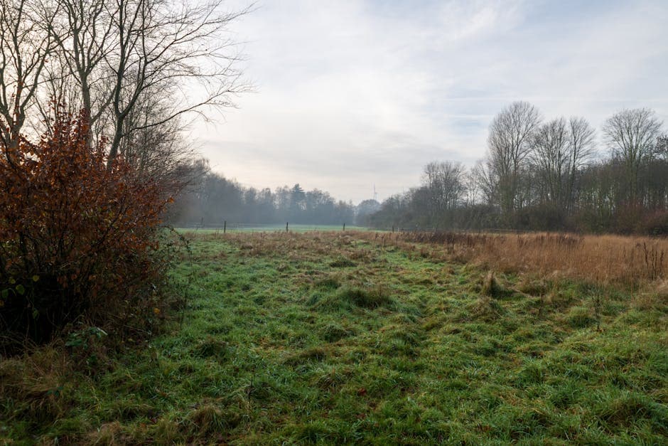 Venice: Quiet Sestieri, Canalside Life & Hidden Campi