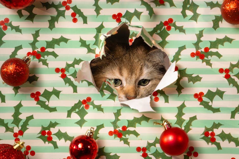 Mauerpark Amphitheater