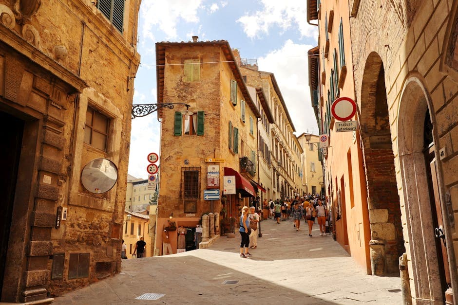 Palatine Hill (main entrance area)